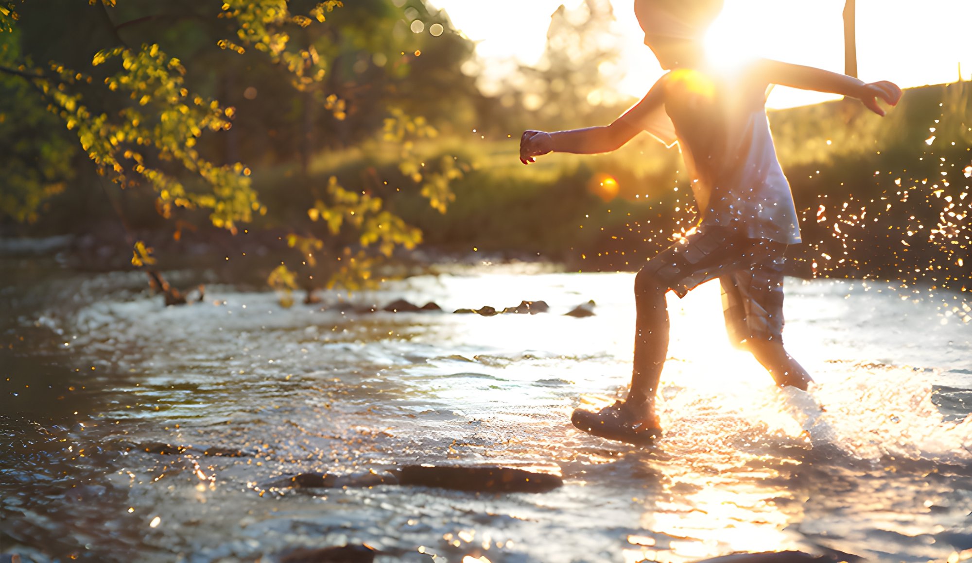 a6e66331-53ab-4057-acff-a1d8fd59c6f0